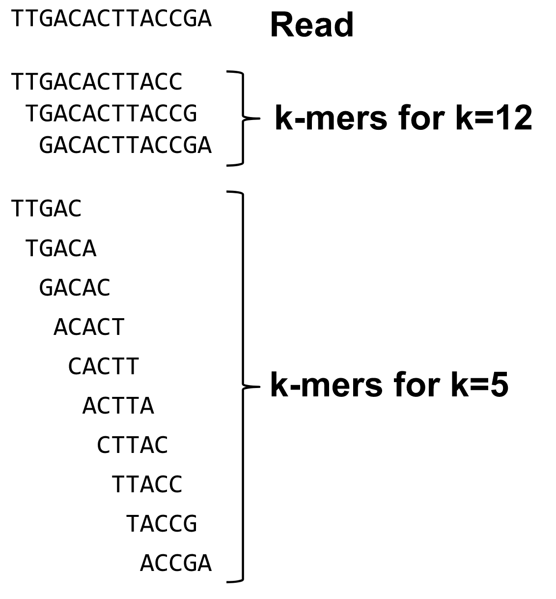 K-mers are subwords of length k of a string. 