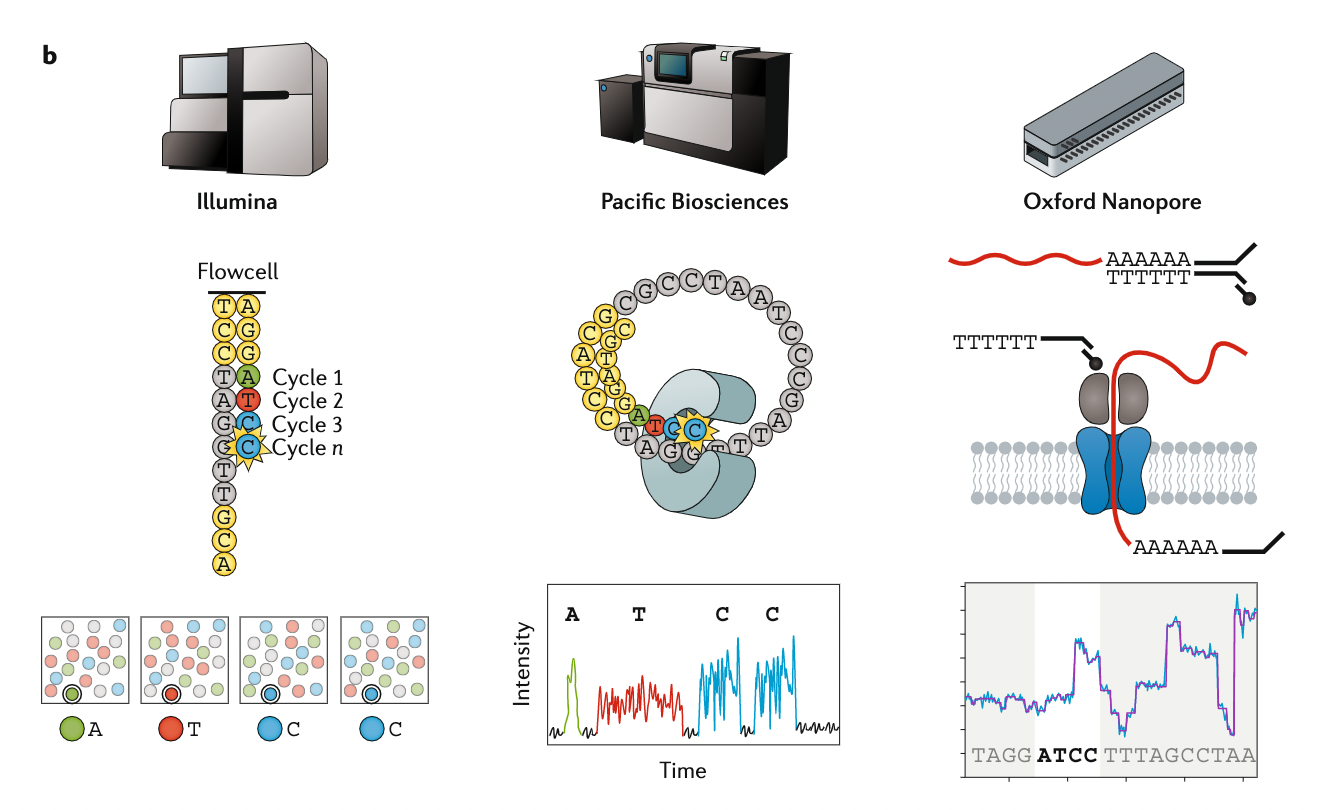Several sequencing technologies. 