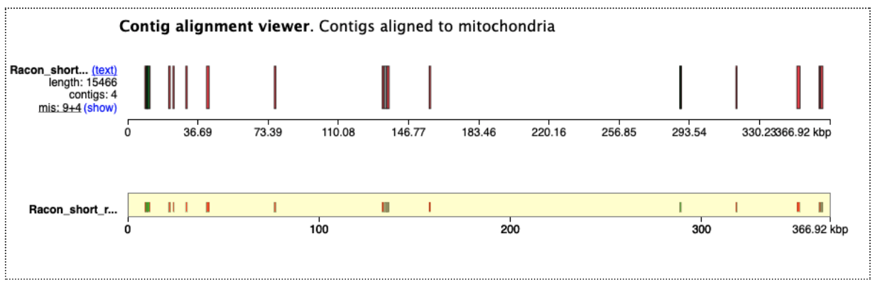 "Image of mitochondrial contigs.". 