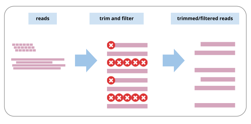 "An image of the concepts of trimming and filtering reads, with reads represented by bold bars; trimming represented by crosses over various locations in each read.". 