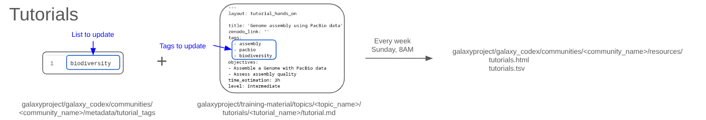 Flowchart illustrating the steps to generate the tutorials resources for your community.