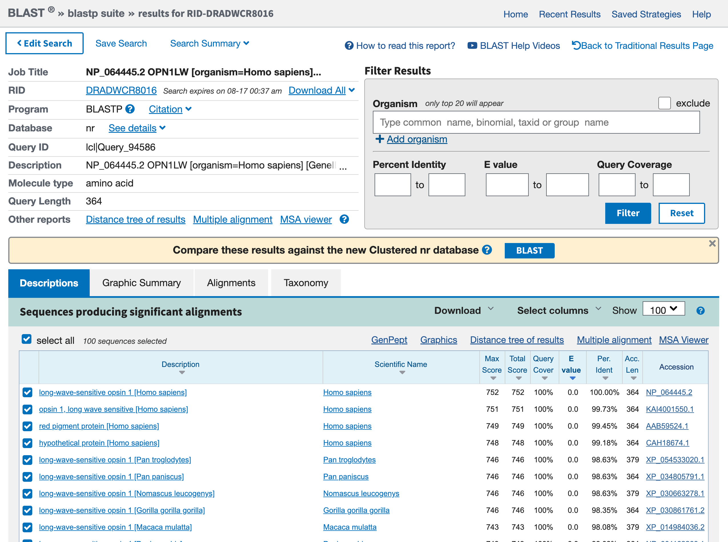 Screenshot of BLAST results, one big header on top and the results listed as a table on bottom.