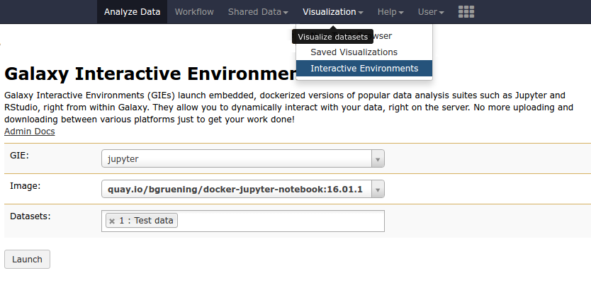 An IE launcher is shown with select boxes for the GIE, image, and datasets. Launch is shown below.