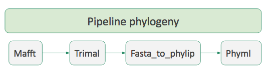 the four tools from the phylogeny pipeline are connected as a workflow