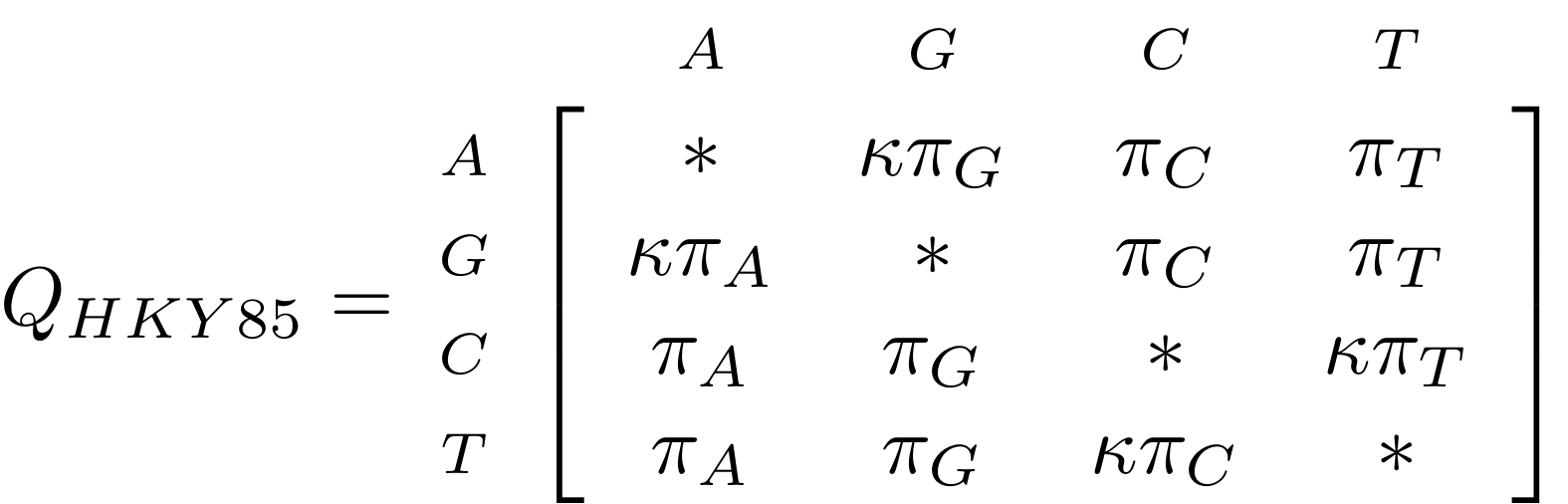 Formula where rate of nucleic acid substitutions according to the HKY85 model QHKY85 is expressed as a matrix with the nucleotides AGCT on both the x and y axis. The rate of change from any nucleotide to another is a factor of variation in nucleotide frequencies πA; πG; πC; πT and transition/transversion rates kappa. The rate of not changing is represented by an asterisk. Long description provided in the video recording at 28:06