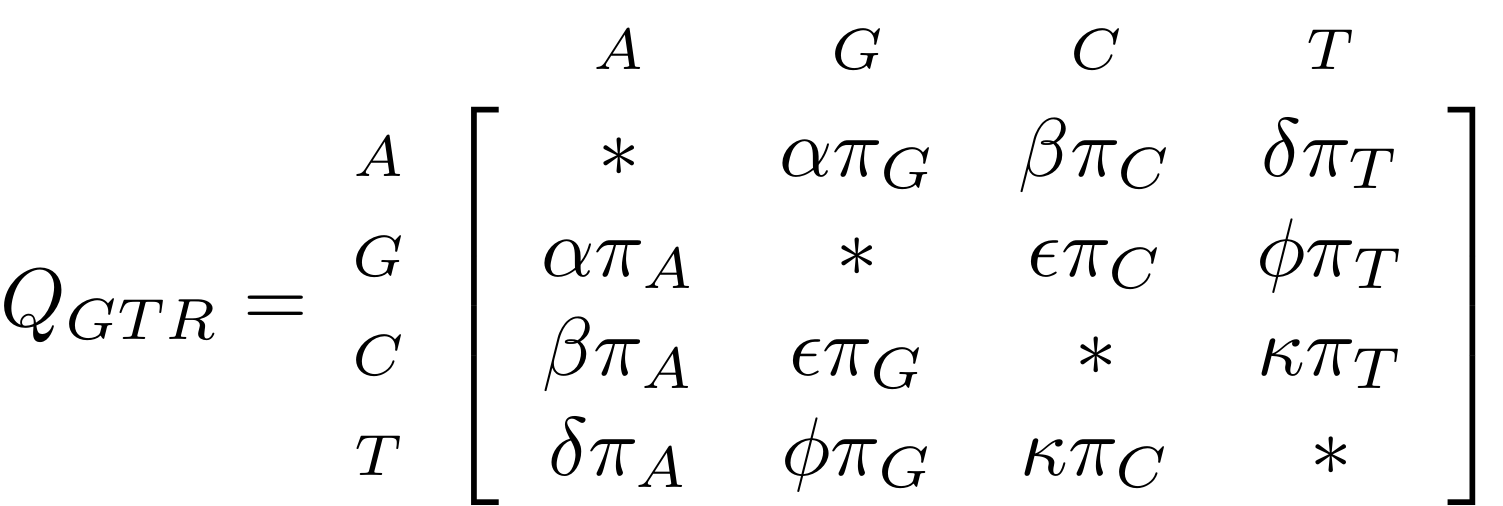 Formula where rate of nucleic acid substitutions according to the GTR model QGTR is expressed as a matrix with the nucleotides AGCT on both the x and y axis. The rate of change from any nucleotide to another incorporates nine parameters represented by Greek letters. The rate of not changing is represented by an asterisk. Long description provided in the video recording at 30:00