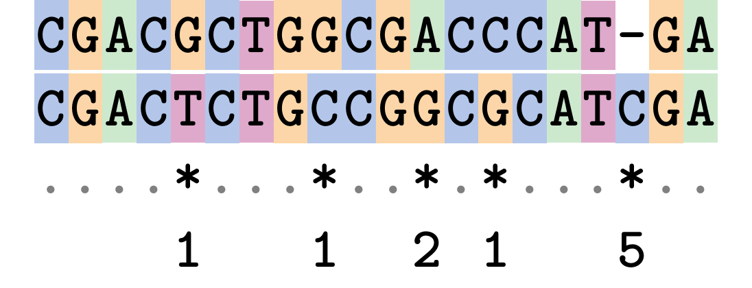 An alignment of two DNA sequences. Positions that are not homologous are indicated by an asterisk and assigned the values 1, 2 or 5.