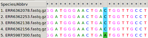 MSA of 5 MTB genomes. 