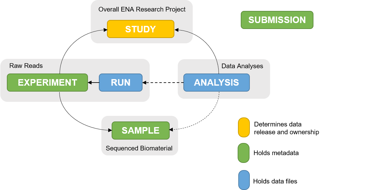 ENA metadata model.