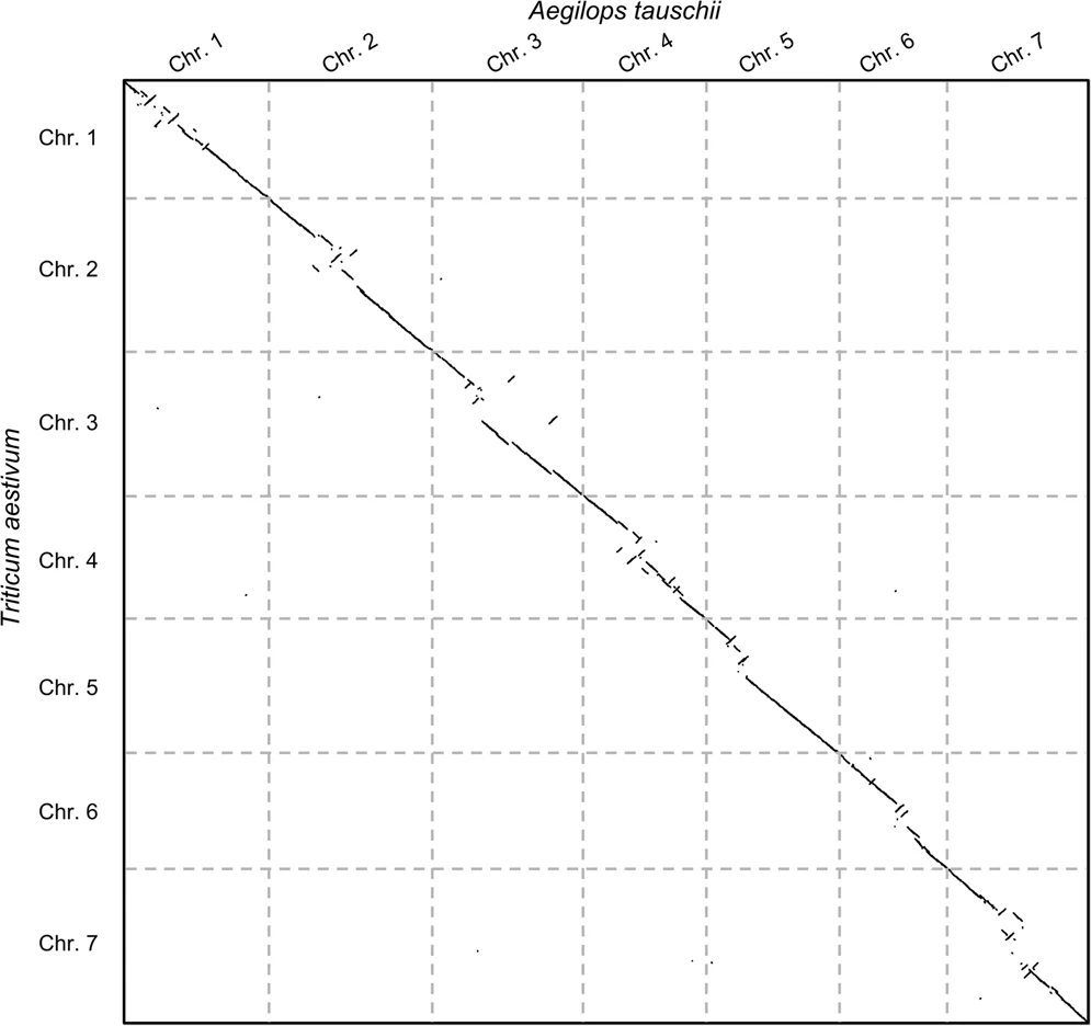 Large-scale genome comparison example.