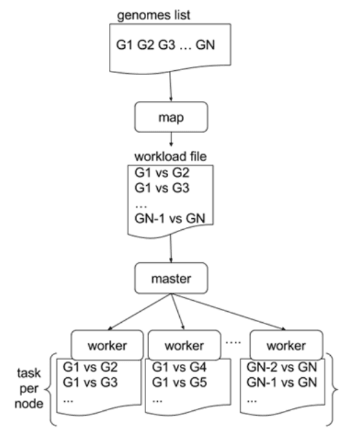 A genomes list enters the workflow and is mapped into a workload file which gives all combinations of G1 to GN. This is sent to a job runner and the individual pairwise comparisons are distributed across worker nodes.
