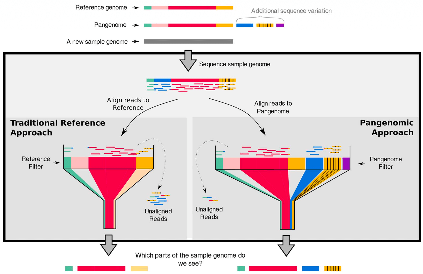 Comparison of a pangenome approach with traditional reference approach