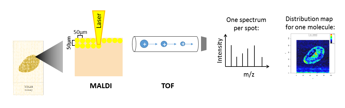 MSI measurement.