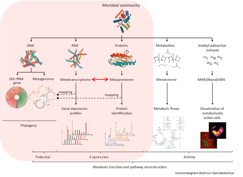 Multiomics