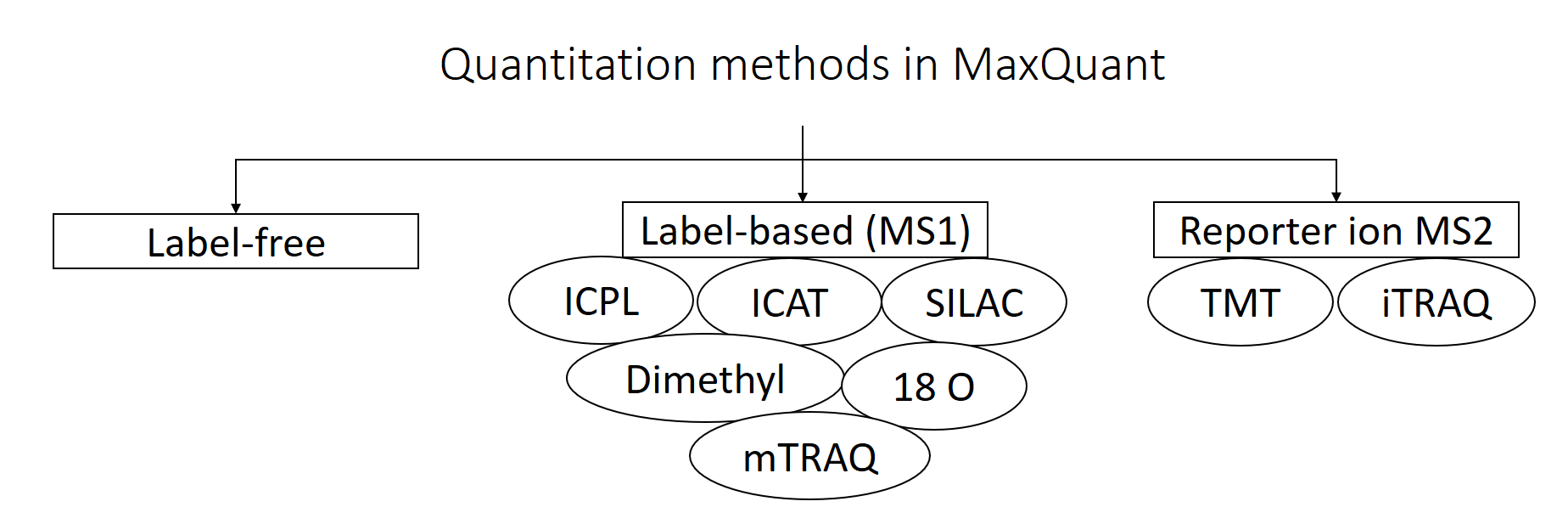 MQ_quant_methods.