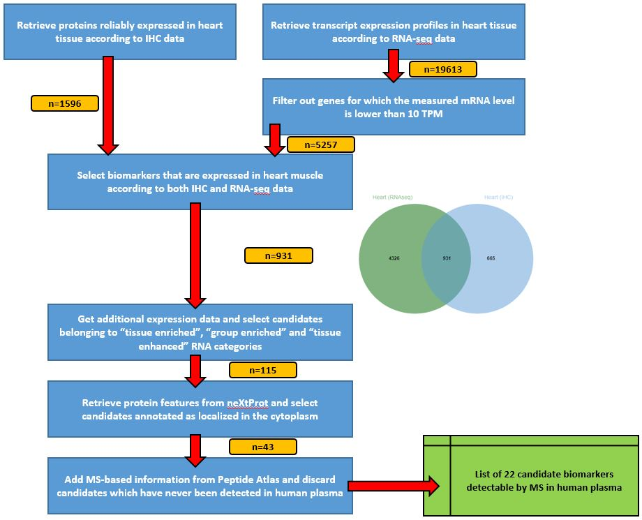 Overview of the pipeline described in this tutorial.
