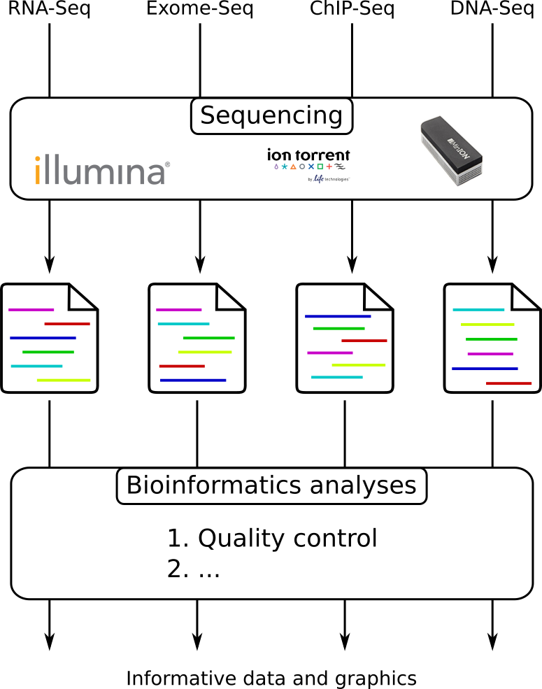 RNA Seq, Exome Seq, ChIP-Seq, and DNA-Seq all point to a large sequencing box and produce files. Then come bioinformatic analysis, namely quality control, on all of the different types.