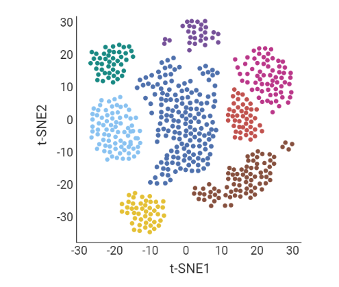 A graph with axis labels ‘t-SNE’, showing the cells being clustered into several groups – each group marked in a different colour.