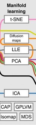Fragment cut from the pipeline - manifold learning: t-SNE, diffusion maps, LLE, PCA, ICA (additionally CAP, GPLVM, Isomap, MDS)