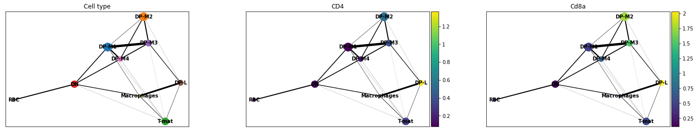Plots generated using PAGA based on cell types, CD4 and Cd8a genes expression. Graph nodes connected to each other.