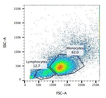 A coloured scatter plot showing two clumps of points labelled monocytes and lymphocytes.