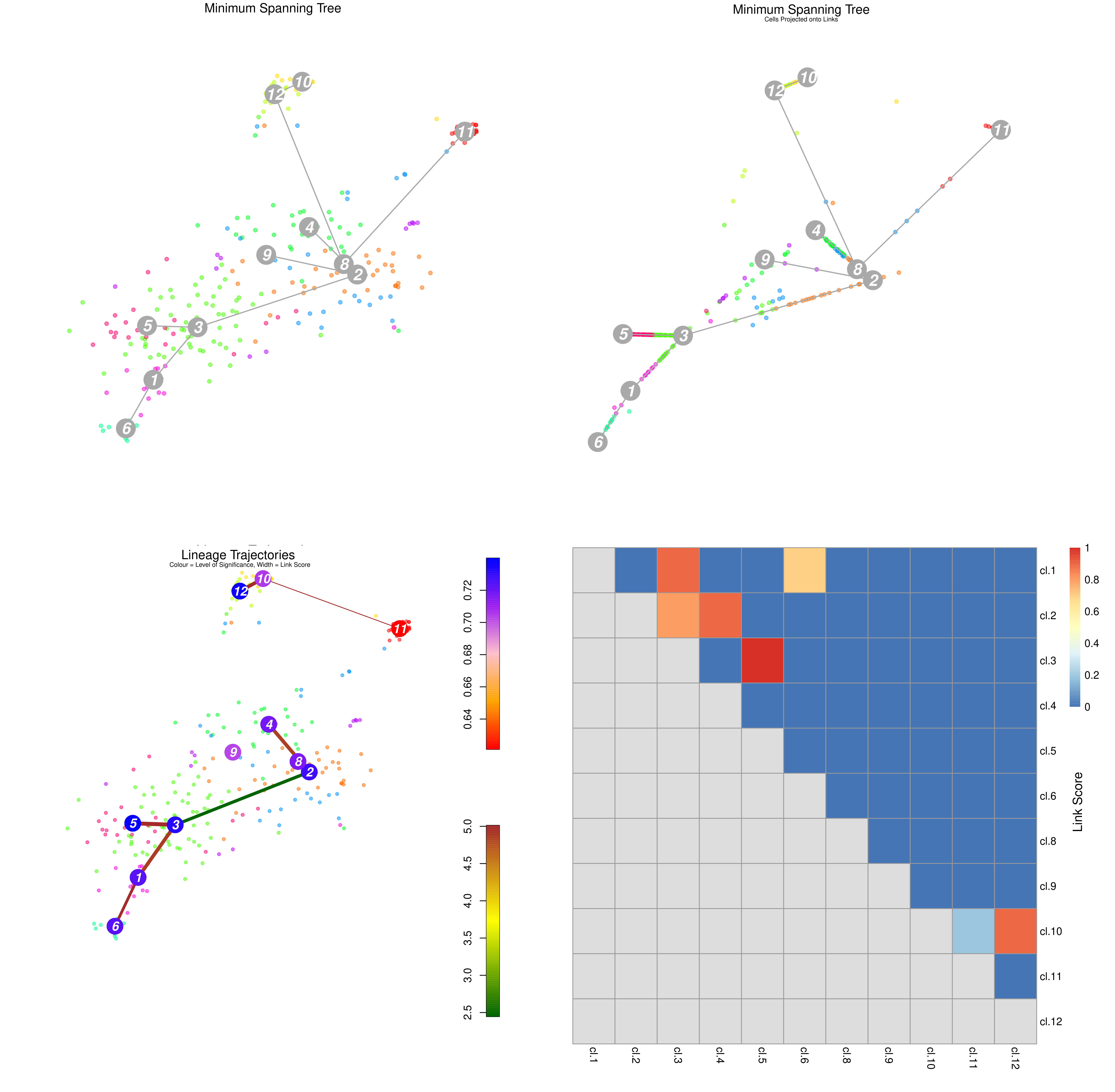Lineage Computation Plots