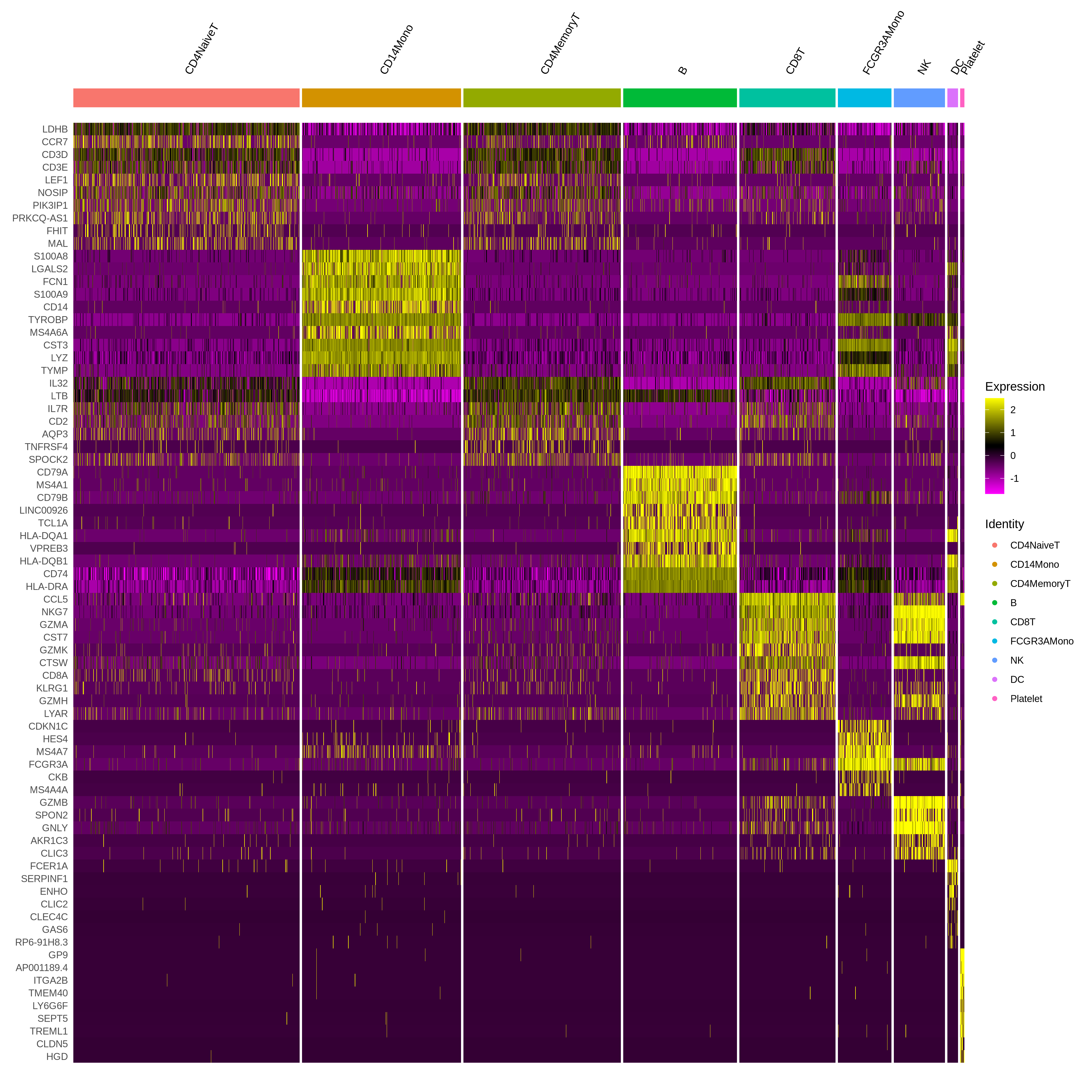 Heatmap showing blocks of higher expression for the top 10 markers in the clusters they are markers for. Most cells in each cluster express the markers for that cluster but the patterns are stronger for some genes than others. Some cells outside the clusters also express the markers. For example the CD8T cells show some expression of the top markers for CD4NaiveT and CD4MemoryT cells, although expression of their own top markers is much higher.