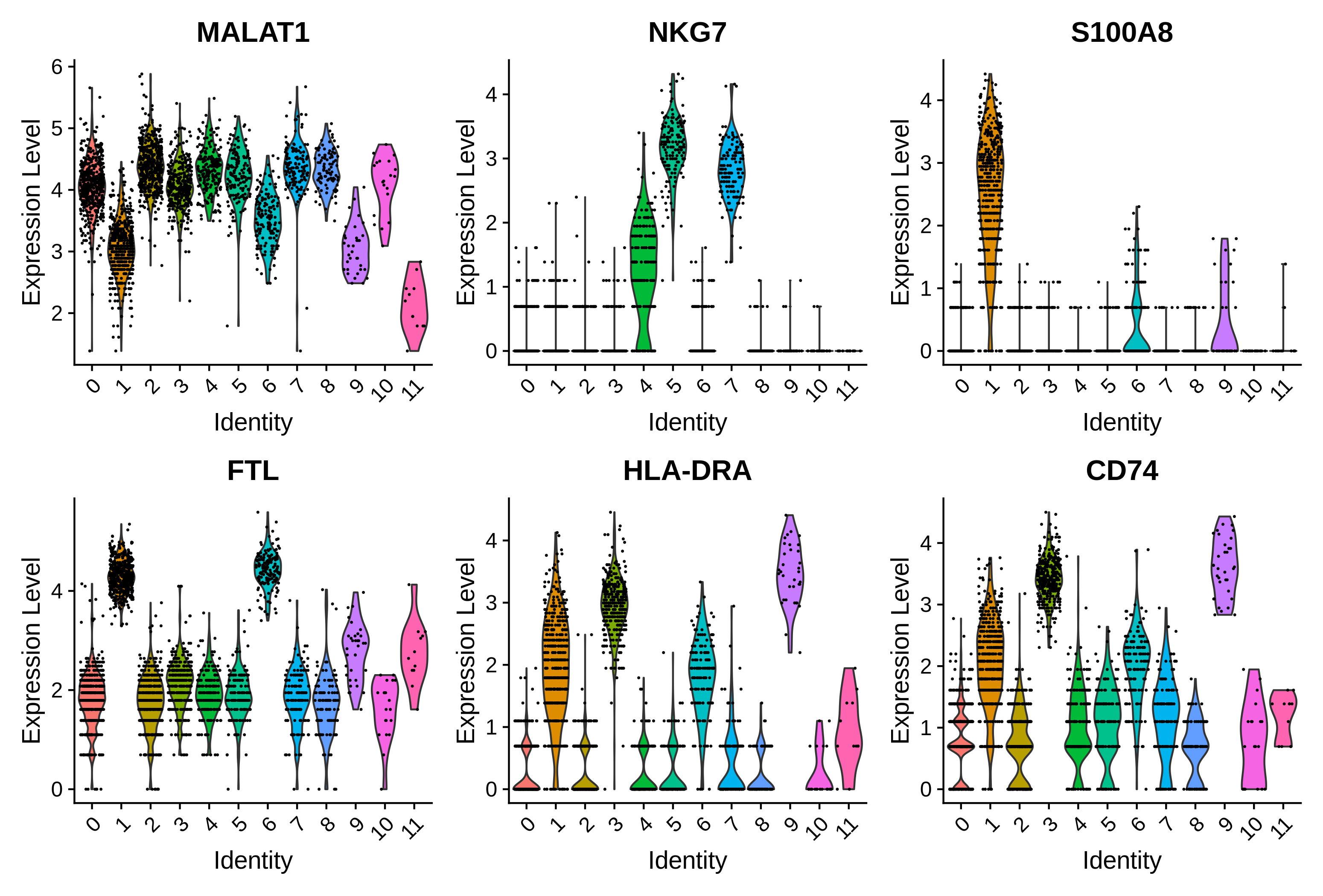 Six violin plots. MALAT1 is expressed in most clusters, but there is less expression in clusters 1, 6, 9, and 11, which are the clusters with the highest expression of FTL. NKG7 is expressed in clusters 4, 5, and 7. HLA-DRA is expressed by clusters 1, 3, 6, and 9. S100A8 is expressed at the highest levels in cluster 1 but also appears in clusters 6 and 9. CD74 is most highly expressed in clusters 3 and 9 but is also present in other clusters.