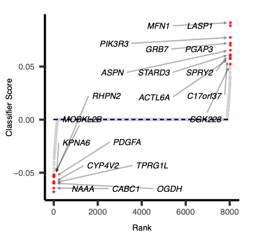 PI3K_OG Classifier Coefficients.