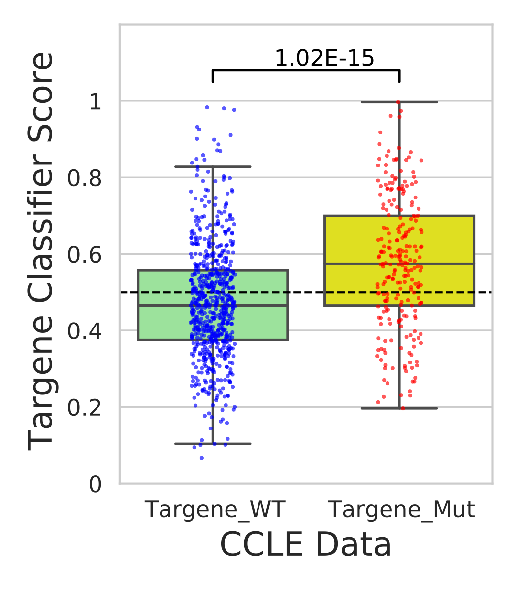 CCLE_targene_celline_classification.