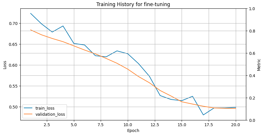 training_history_protT5.