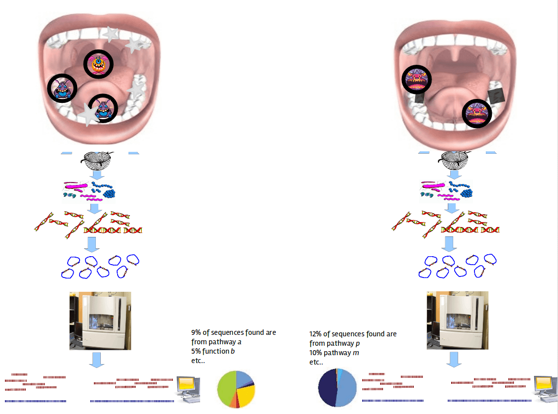 comparing microbiomes from healthy and disease samples. Both are sequenced, and then pie charts showing different microbiomes.