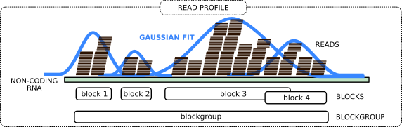 blocks of a blockgroup.