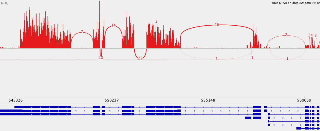 Screenshot of a Sashimi plot of Chromosome 4. 