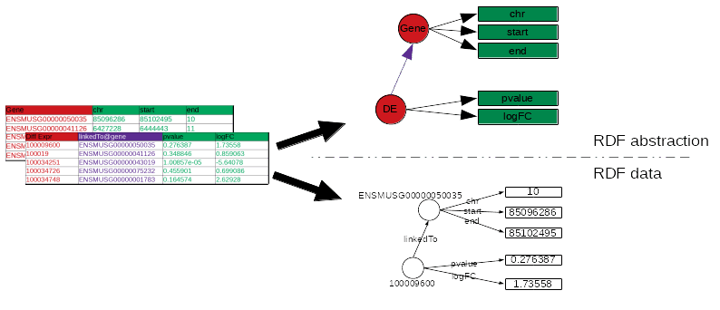 Two tables are provided, pointing to RDF abstraction with a small graph of DE, Gene, and their attributes. And RDF data which has the same graph as abstraction, but with real identifiers.