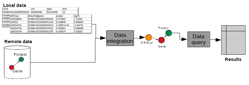 Local data tables and remote data with gene and proteins is combined in data integration. Now a graph is produced with differential expression pointing to a gene which points to a protein. Next the data is queried and results produced.