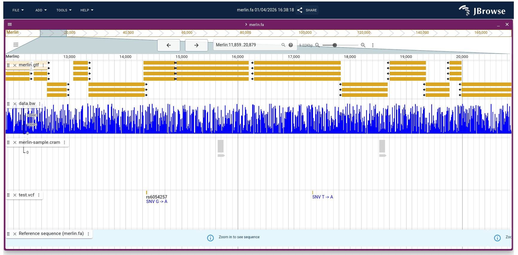 complex gene tracks in JBrowse2. 