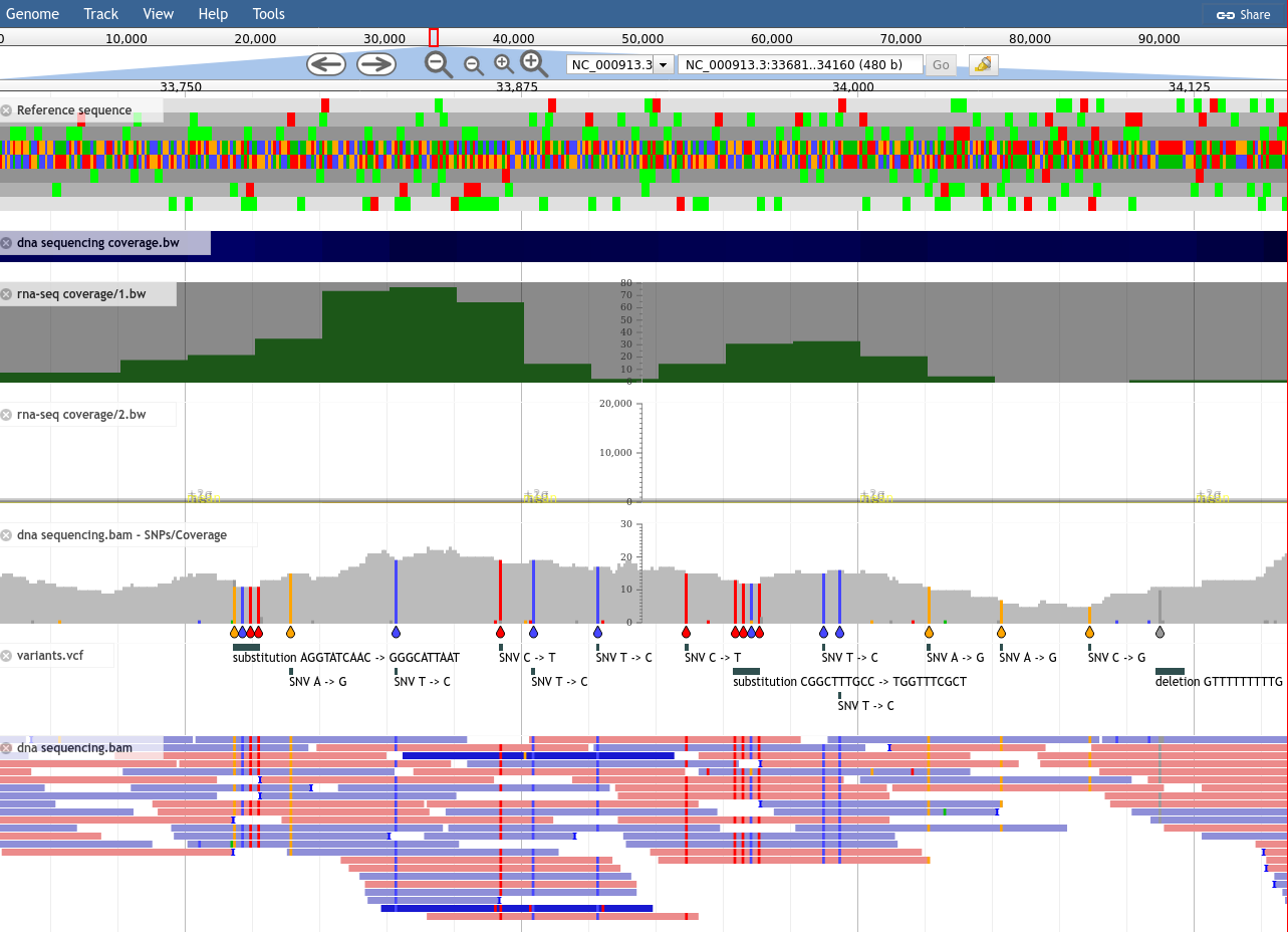 JBrowse screenshot