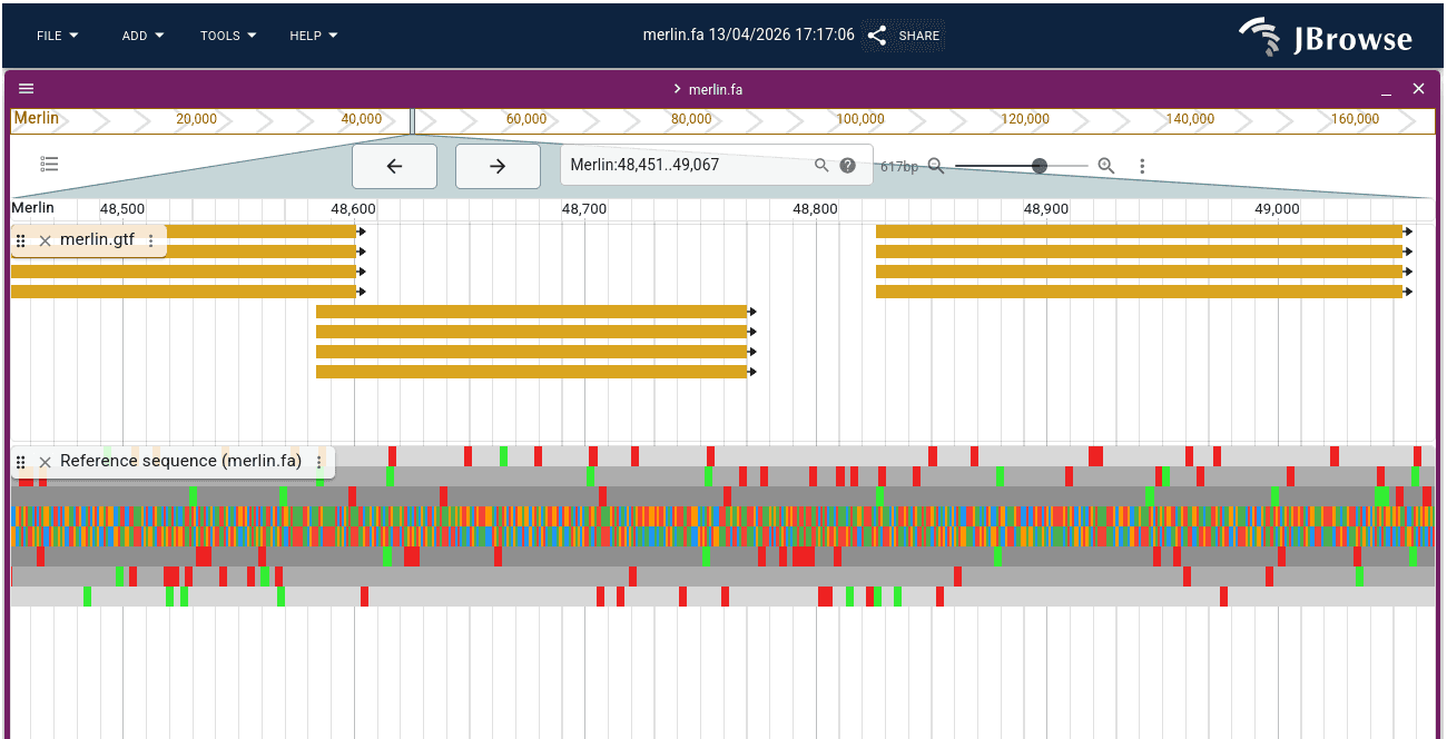 sequencing tracks in JBrowse2. 