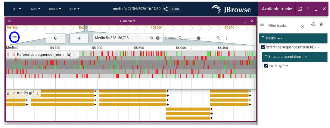 sequencing tracks in JBrowse2. 