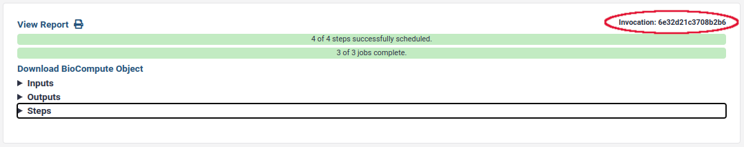 The image depicts a user interface from a computational workflow or job management system. At the top left, there is a "View Report" button, which likely allows users to access a detailed report of the job or workflow. The interface features two horizontal progress bars: the first indicates that all 4 steps have been successfully scheduled, and the second shows that all 3 jobs are complete. A "Download BioCompute Object" button is present, presumably for downloading a standardized description of the bioinformatics protocol or workflow. The interface includes collapsible sections labeled "Inputs," "Outputs," and "Steps," which likely contain detailed information about the inputs used, outputs generated, and steps involved in the workflow, respectively. At the top right, an invoice number is displayed: "Invoice: 6e32d21c3708b2b6." This interface is part of a system used for managing and monitoring computational jobs, particularly in bioinformatics or computational biology contexts.