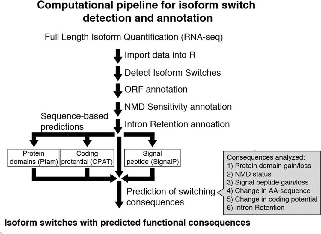 Schematic of an isoform switch and detection pipeline. Data is annotated and a prediction is made for isoform switch consequences