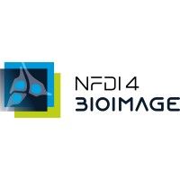 NFDI4Bioimage avatar