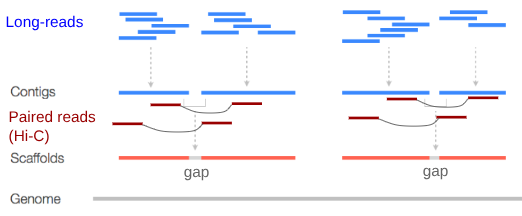 Illustration of the working principle of scaffolding