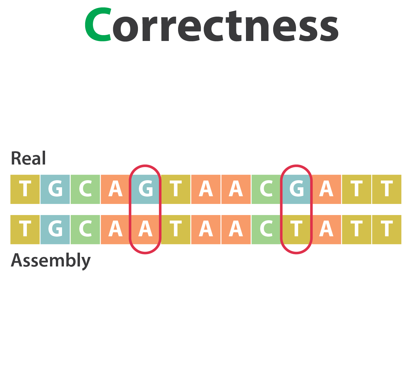 Illustration of genome assembly correctness