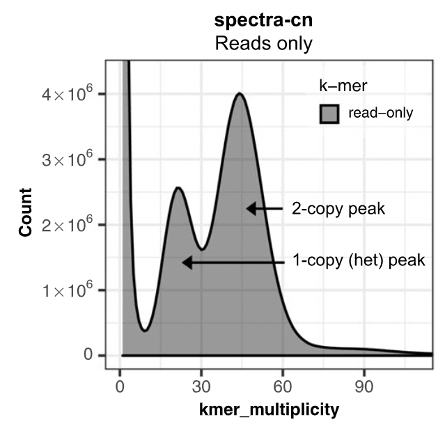 How to read kmer spectrum of reads