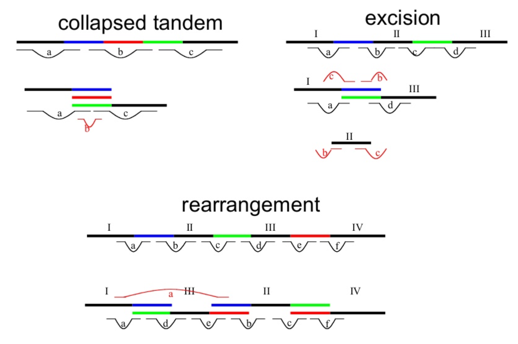 Collapsed, excision and rearrangement consensus