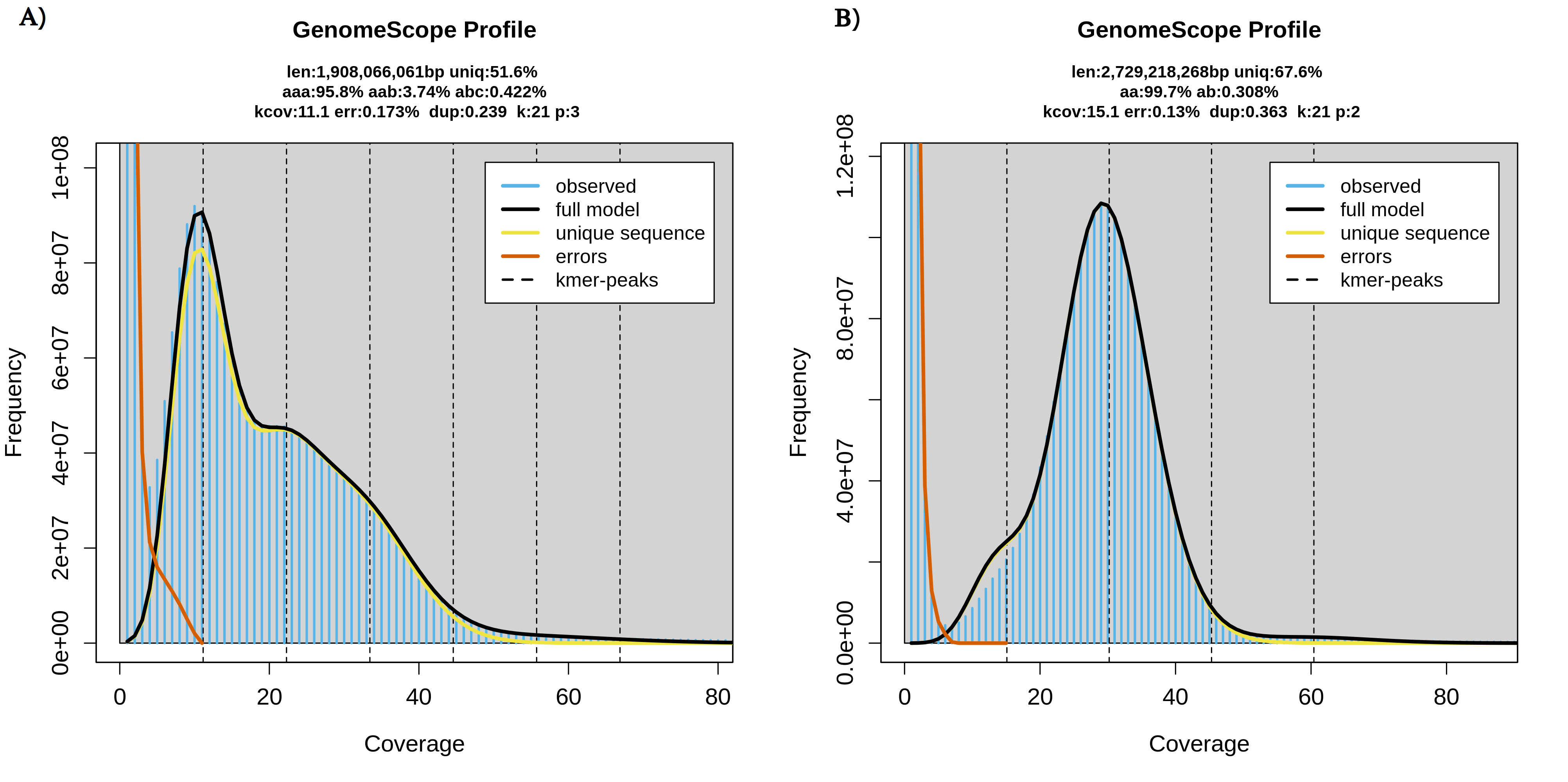 Figure 13: Genomescope plot . 