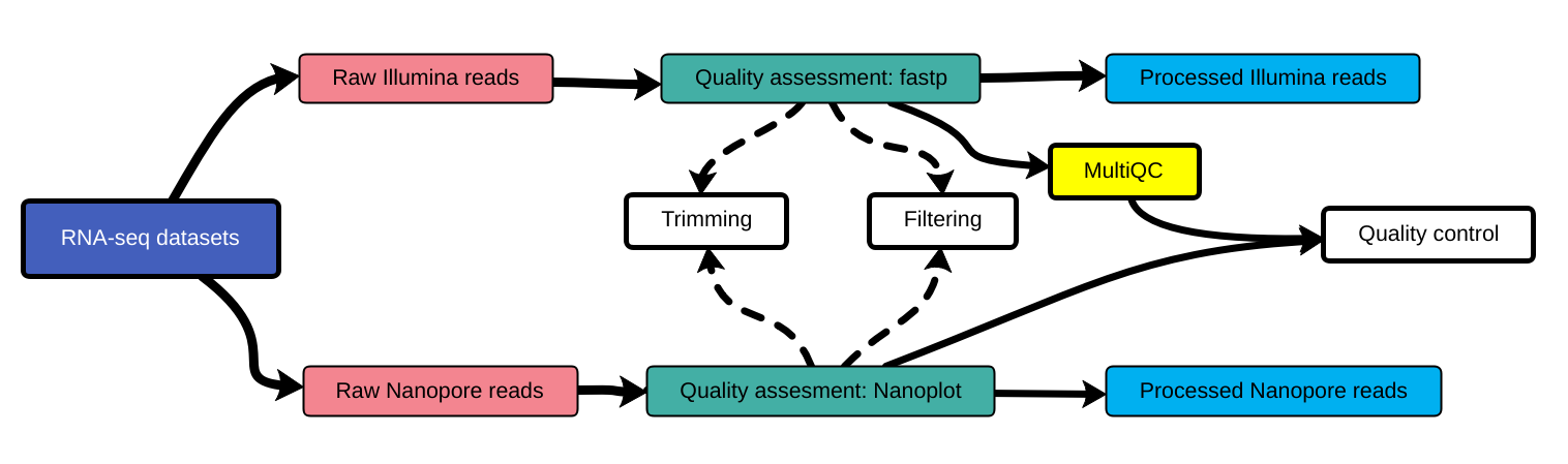 Schematic of a workflow, RNA-seq dataset is input which consists of illumina and nanopore reads. Those go through quality assessment with fastp and nanoplot, trimming, and filtering, before producing processed reads.