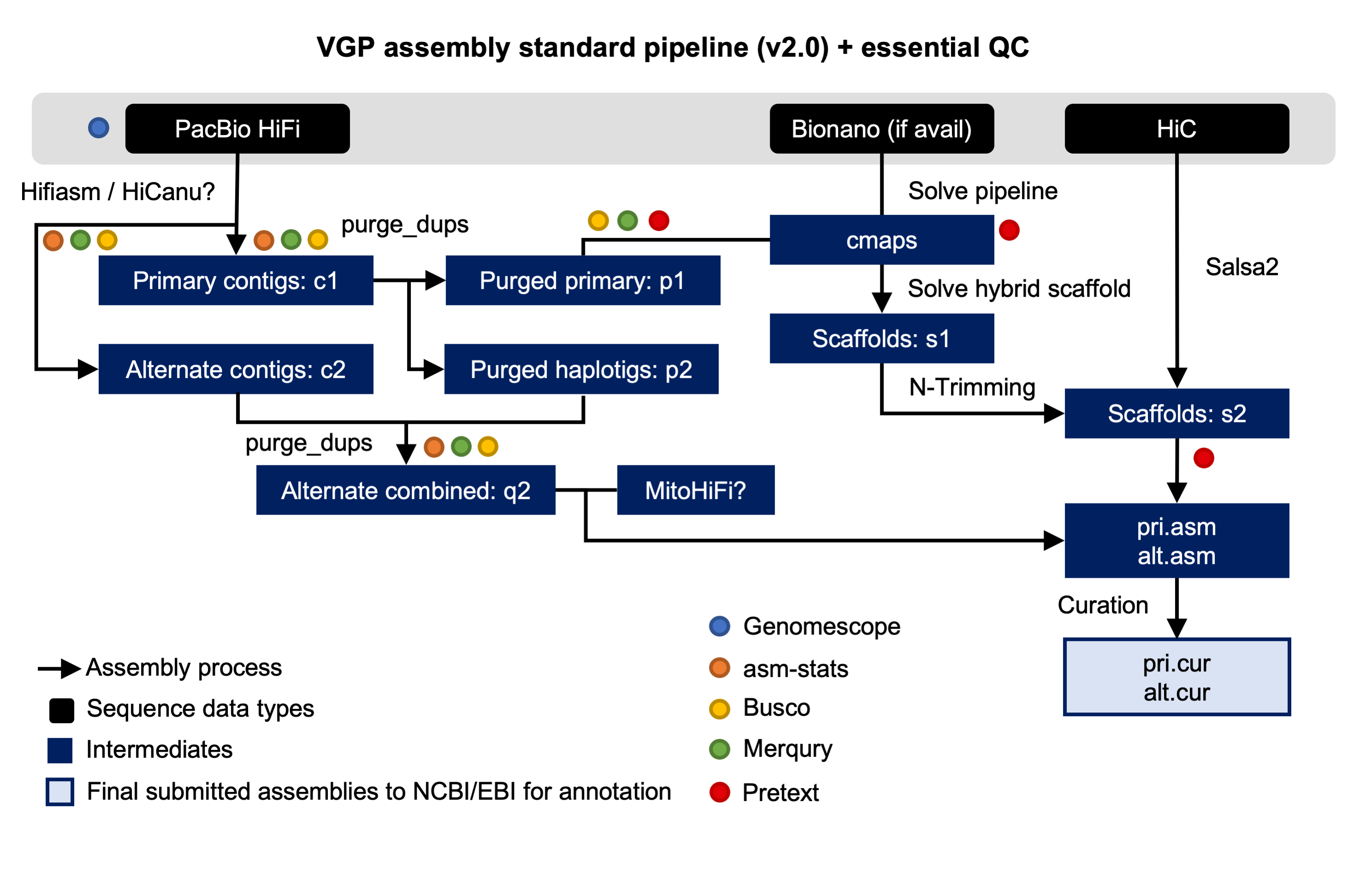 VGP pipeline. 